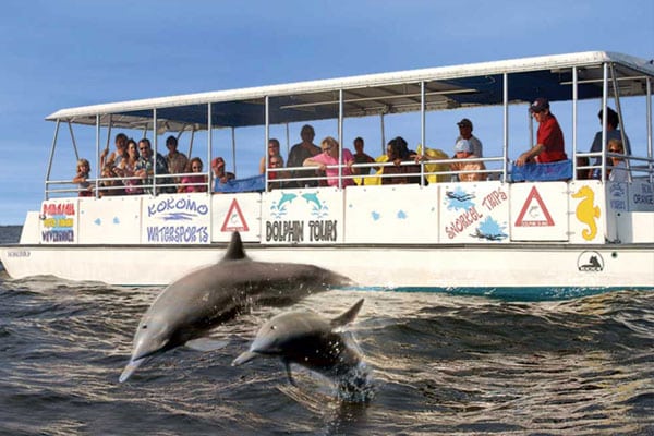 dolphin tours in outer banks