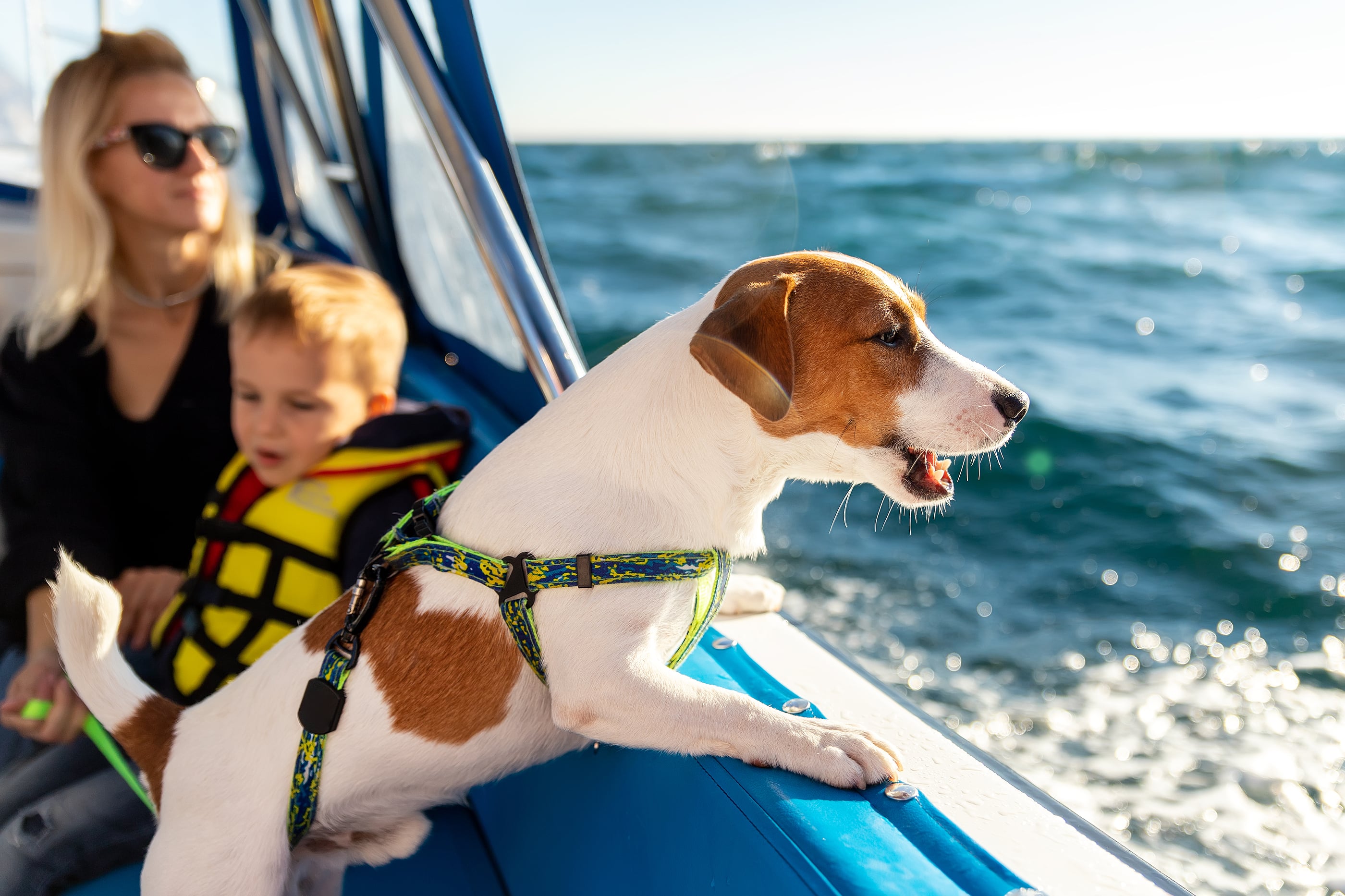 4 Reasons to Pontoon Your Way to Family Fun!